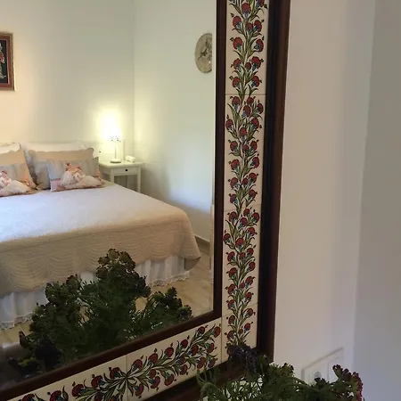 Citrus Garden Отель