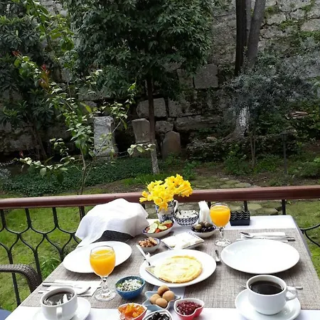 Отель Citrus Garden